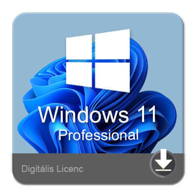 Windows 11 Pro, operációs rendszer